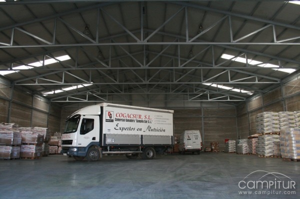 Cogacsur